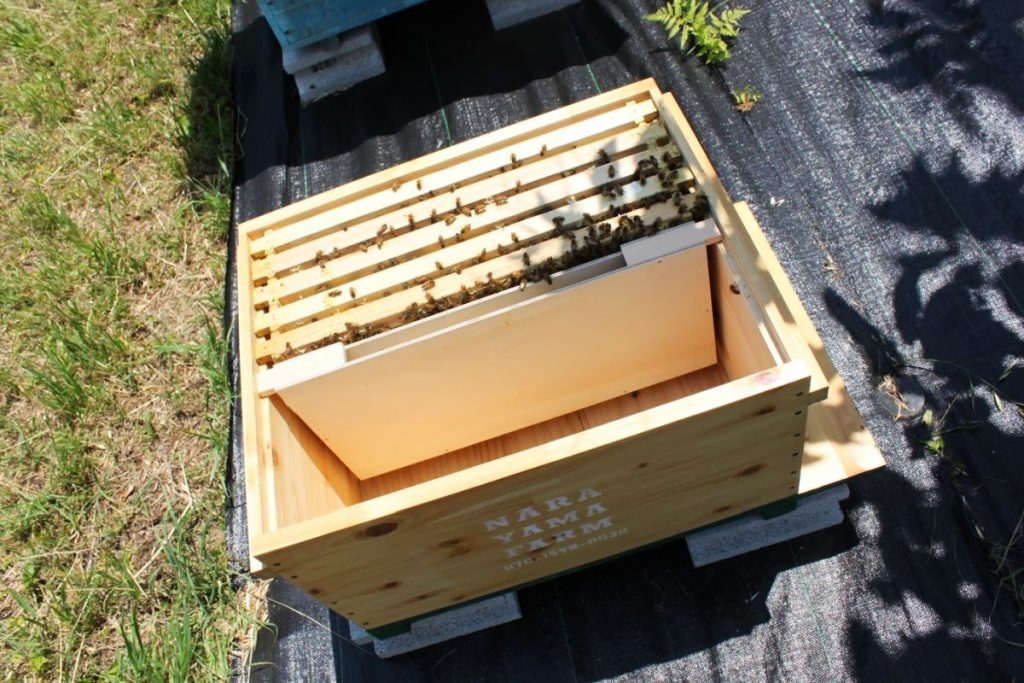 養蜂WS] 西洋ミツバチの巣箱の自作 – NARAYAMA FARM 奈良山園