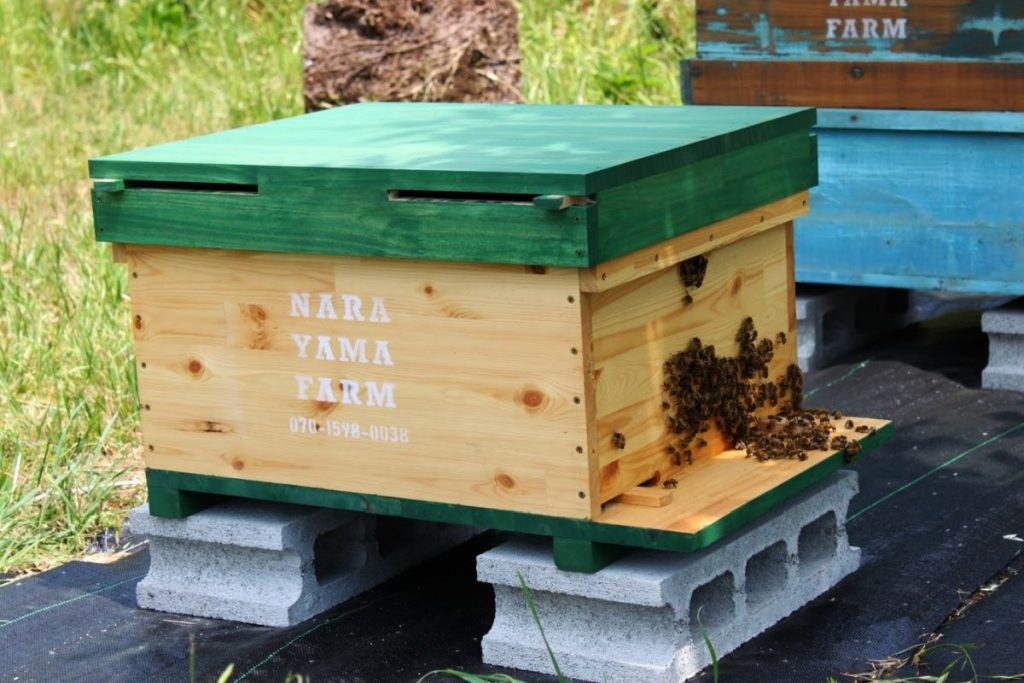養蜂ws 西洋ミツバチの巣箱の自作 Narayama Farm
